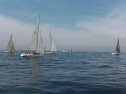IMGA0138.jpg
