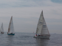 IMGA0139.jpg