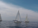 IMGA0142.jpg