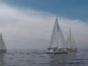 IMGA0143.jpg
