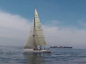 IMGA0151.jpg