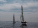 IMGA0159.jpg