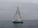 IMGA0160.jpg