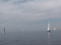 IMGA0166.jpg