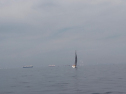 IMGA0167.jpg