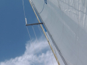 IMGA0179.jpg