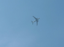 IMGA0184.jpg
