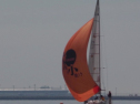 IMGA0194.jpg