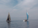 IMGA0201.jpg