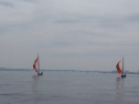 IMGA0202.jpg