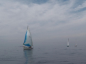 IMGA0211.jpg