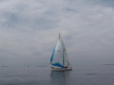 IMGA0212.jpg