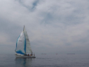 IMGA0213.jpg