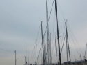IMG_4953.jpg