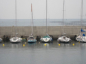 IMG_4972.jpg