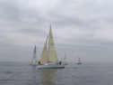 IMGA0089.jpg