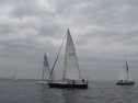 IMGA0091.jpg