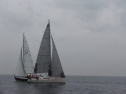 IMGA0095.jpg