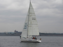 IMGA0099.jpg
