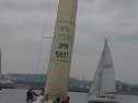 IMGA0100.jpg