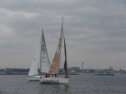 IMGA0106.jpg