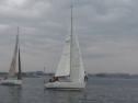 IMGA0107.jpg