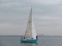 IMGA0108.jpg