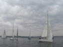 IMGA0111.jpg