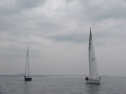 IMGA0119.jpg