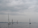 IMGA0121.jpg