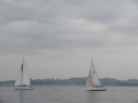 IMGA0122.jpg