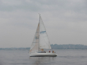 IMGA0124.jpg