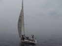 IMGA0131.jpg