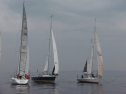 IMGA0134.jpg