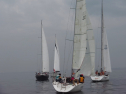 IMGA0135.jpg