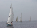 IMGA0142.jpg
