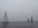 IMGA0144.jpg