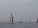 IMGA0148.jpg