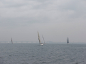 IMGA0154.jpg