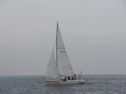 IMGA0166.jpg