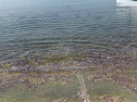 IMGA0080.jpg