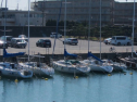 IMG_5382.jpg