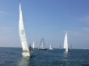 1229946_414998318601880_1159880100_n.jpg