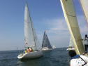 562794_414998348601877_687572767_n.jpg