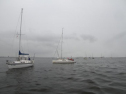 th_IMG_4283.jpg