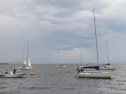 th_IMG_4335.jpg