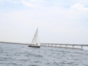th_IMG_3752.jpg