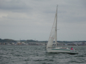 124_large.jpg