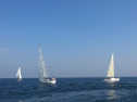 th_IMG_0050.jpg
