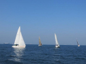 th_IMG_0068.jpg
